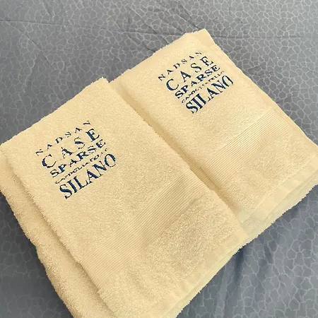 Nadsan Sparse Apartamento